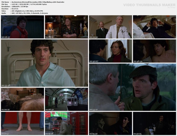 American werewolf in London 1981