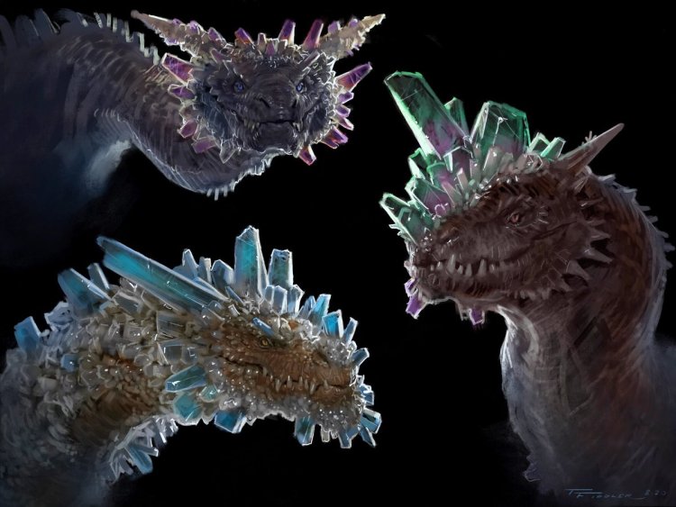 Snezhana Samokhvalova