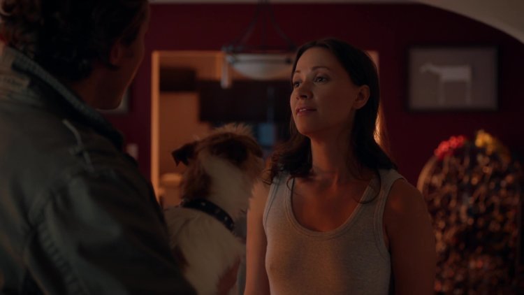 Sting It's Probably Me