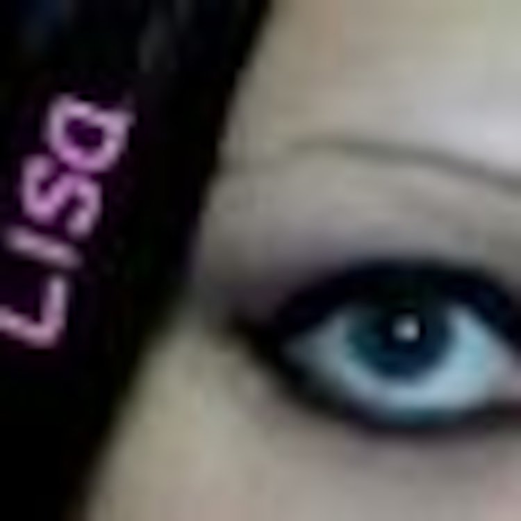 Furry under hypnosis