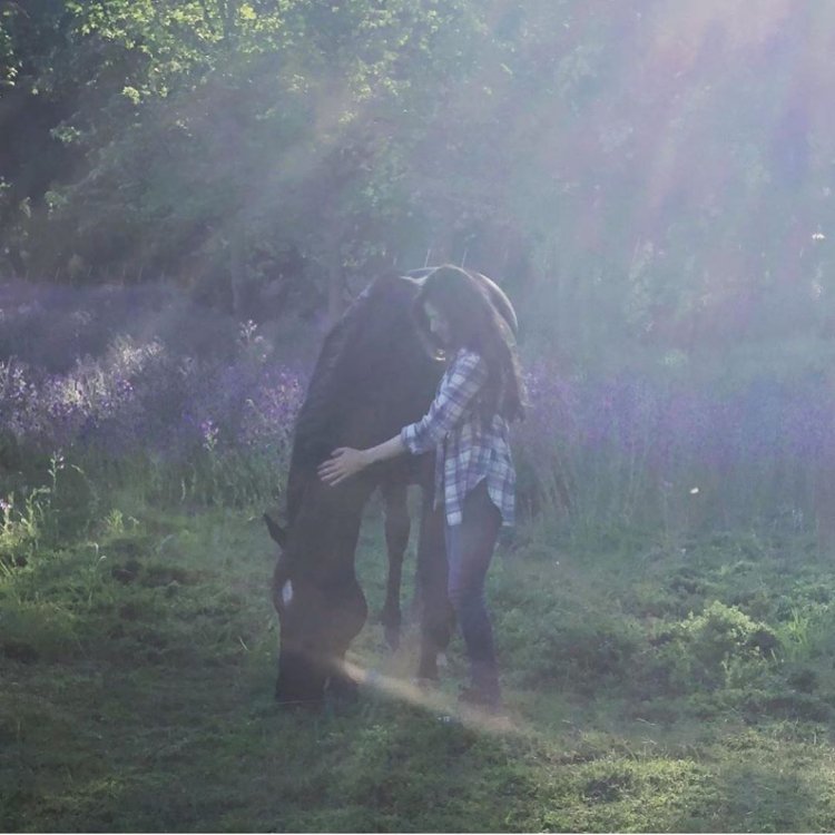 Black handsome film 2020