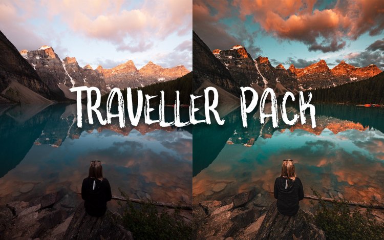 Harrison Twins model