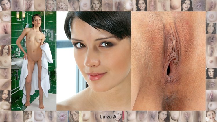 Faces and vaginas of pornses