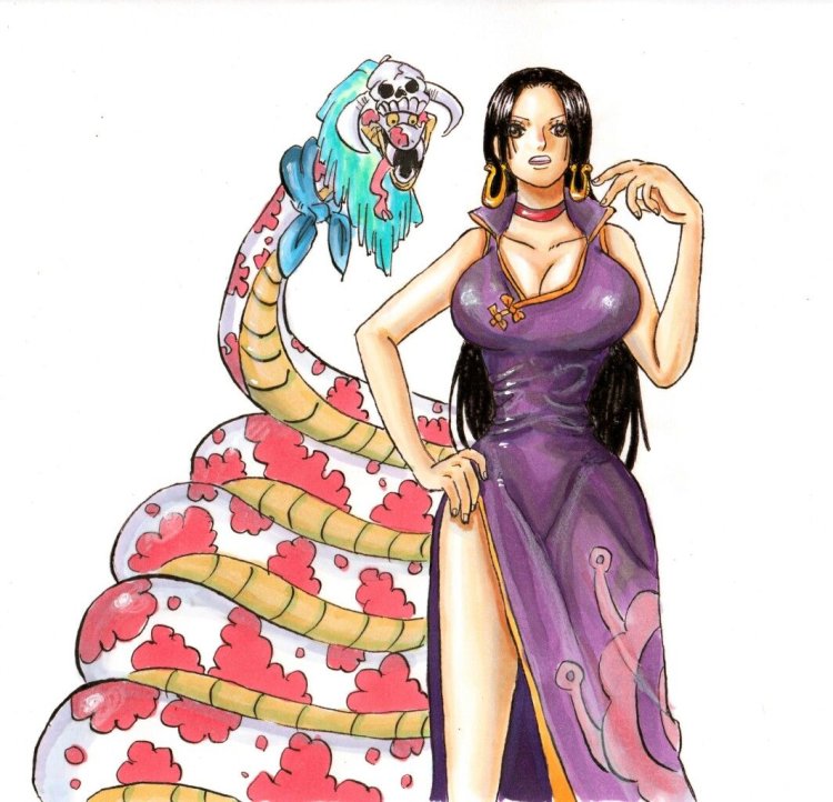 Hankok Anime van Pis