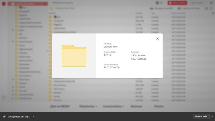 Street Fighter v Menat Art