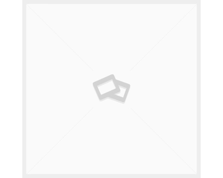 NN-DF383BZPE (inverter)