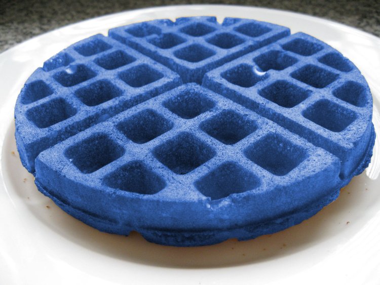 Blue waffle female disease