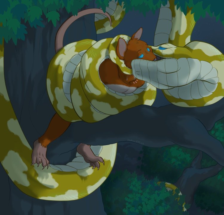 Violet waffles disease