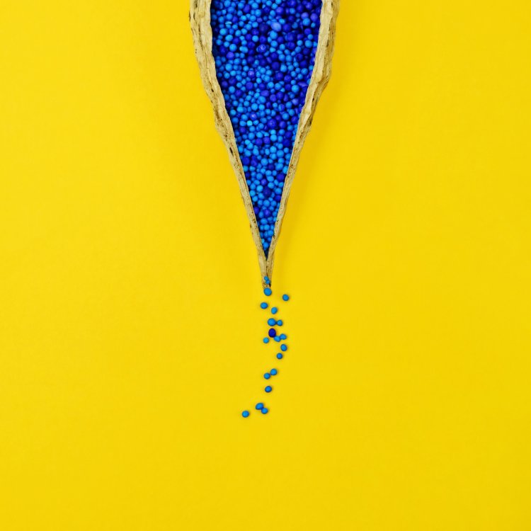 Blue waffle Blue Waffles disease