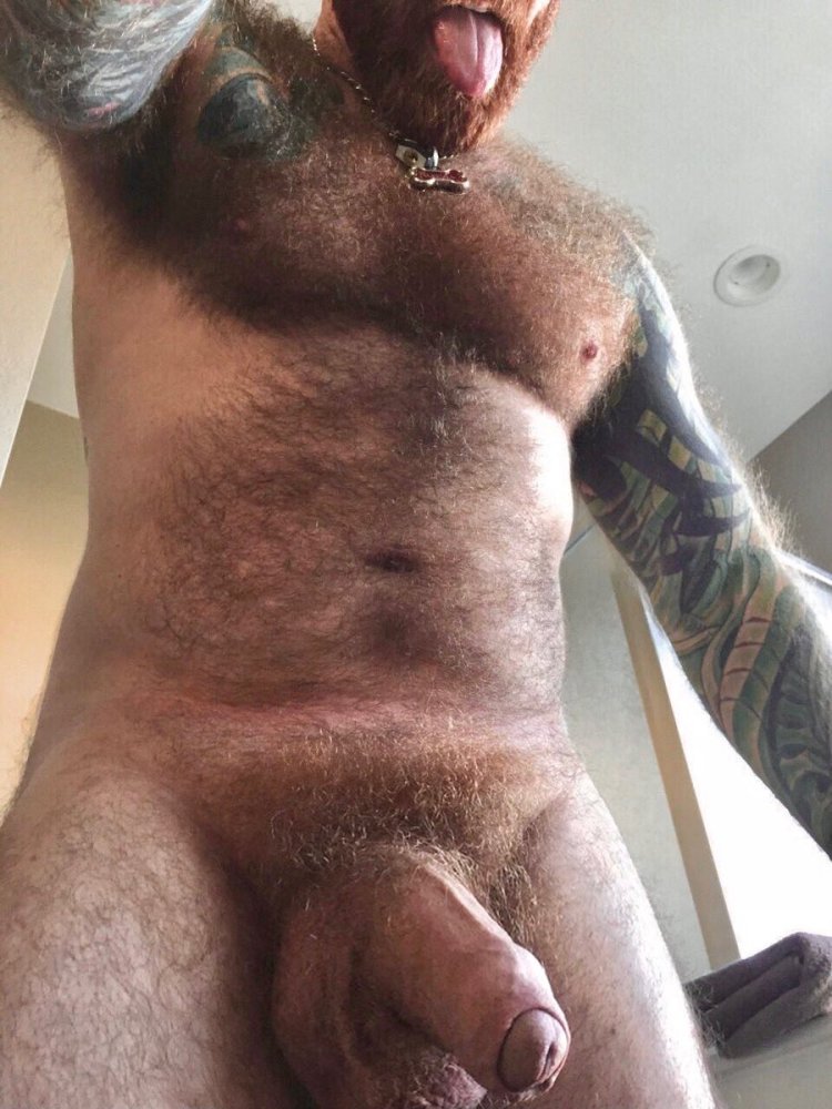 Hairy men with big dicks