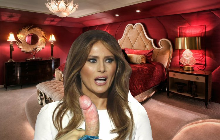 Melania Trump photo revelations