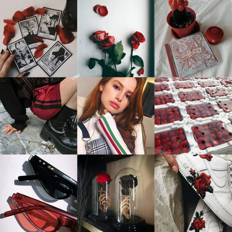 Cheryl Blossom Season 5