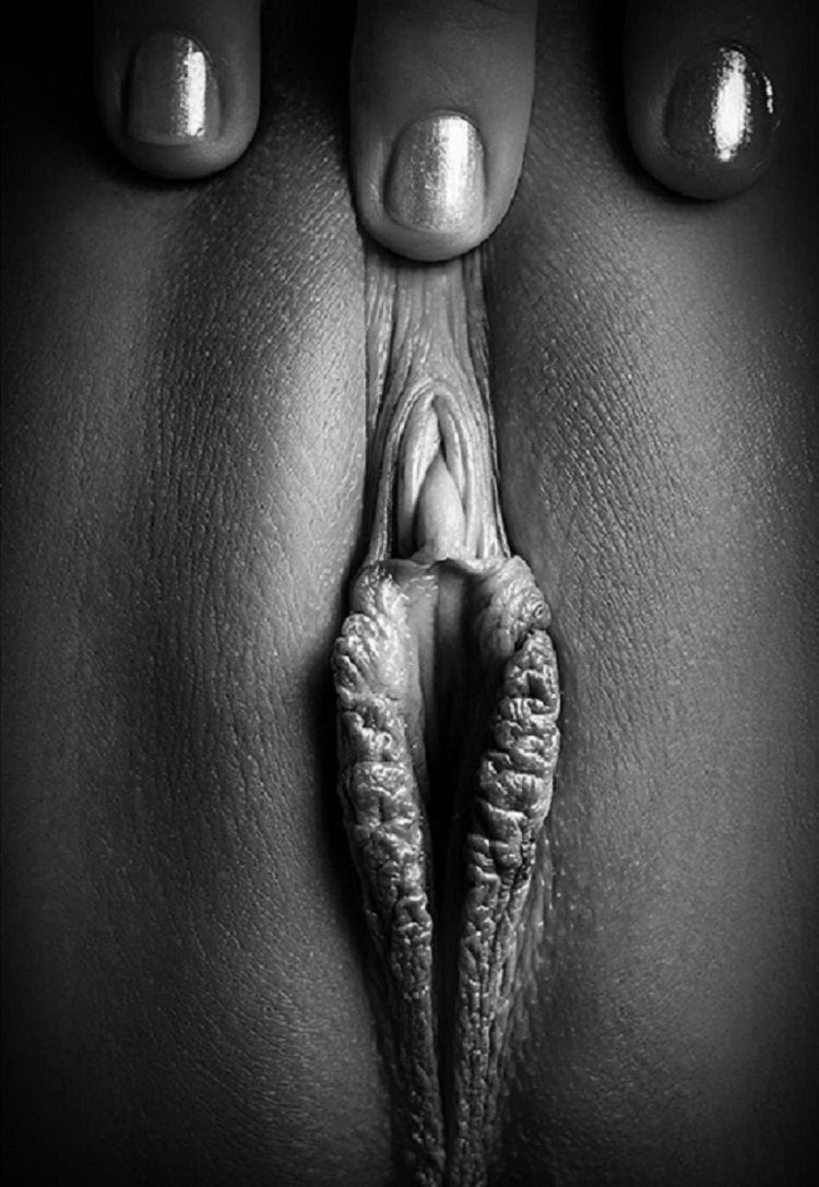 Artistic photos of the vagina