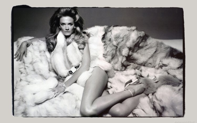 Models of fur coats