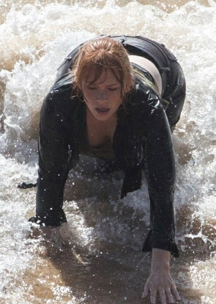 Bryce Dallas Howard Black Shchherkalo