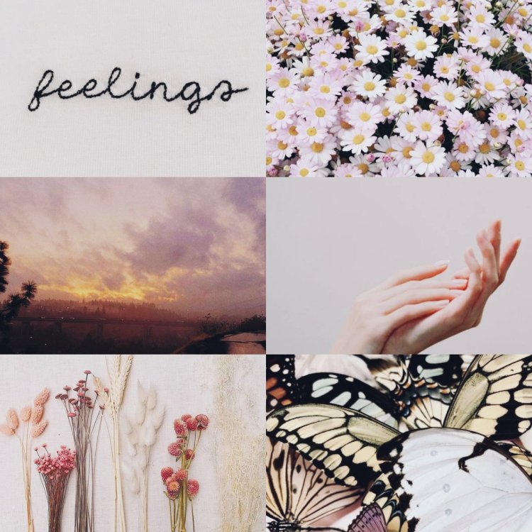 Rule 34 Score: 15 1 BOY1 GILL AGAINST GLASS