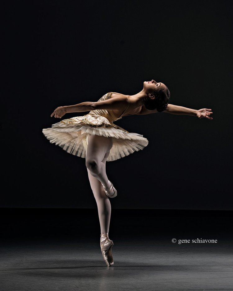 Diana Vishneva Ballerina Nude