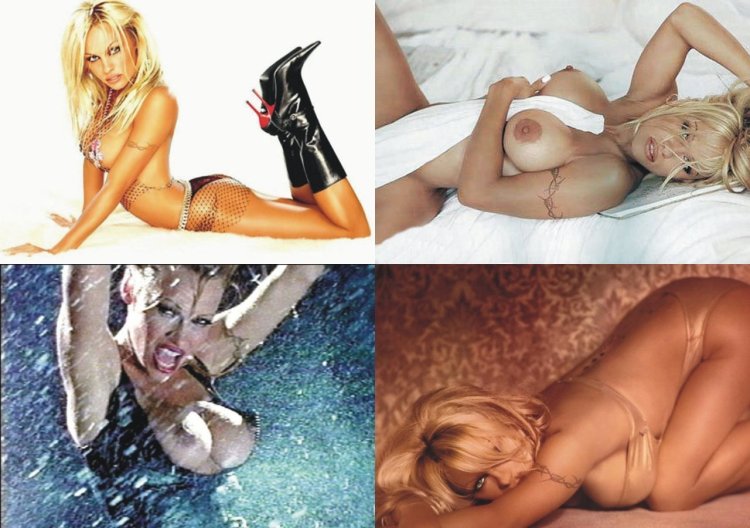 Porn. Pamela. Anderson. Paris Hilton