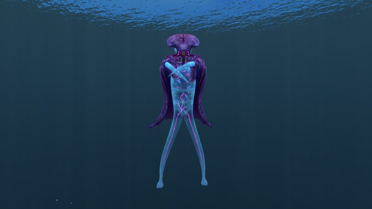 Subnautica Fashion
