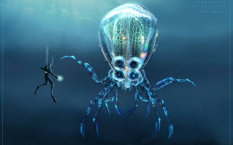 Warper Subnautica