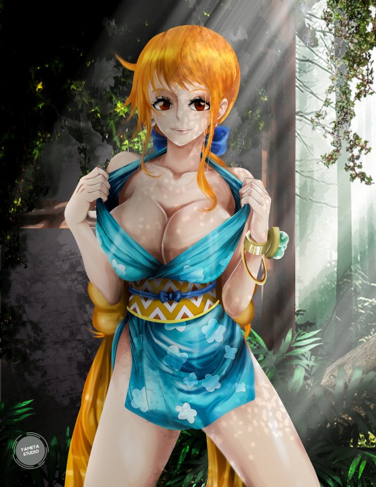 Van Pis Tashigi Nel Zel Formula