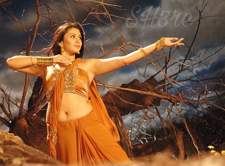 Actress Namitha figure