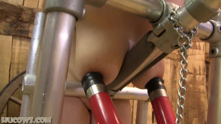 Milking apparatus for women BDSM