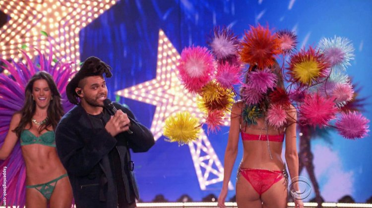 Lily Aldridge Lingerie 2016