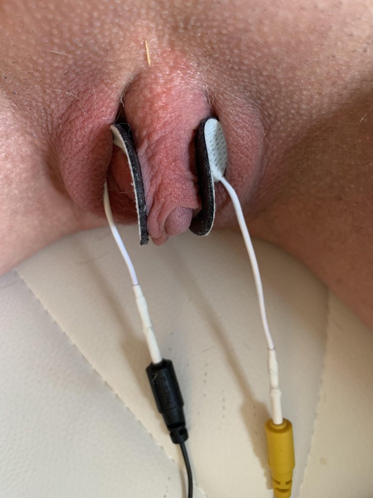 Needle Tits Bra BDSM Chancellery buttons