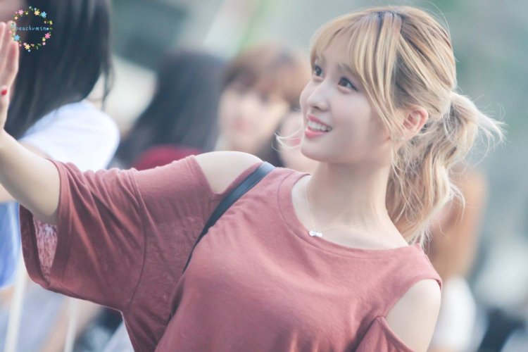 Twisa Hirai Momo Pla