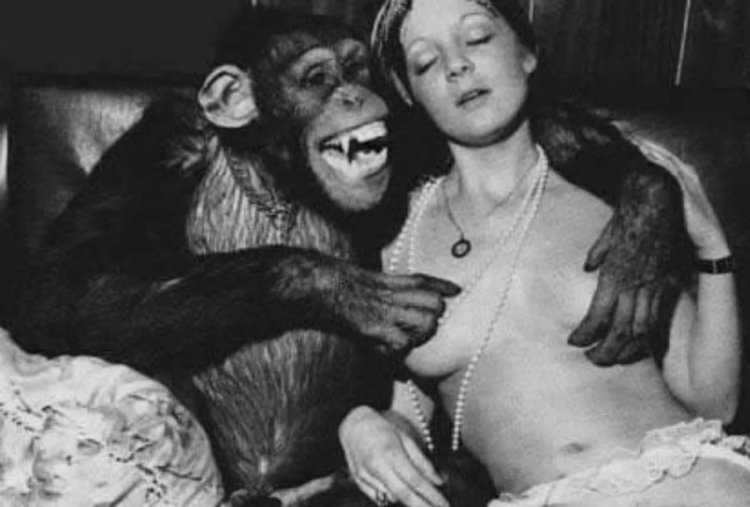 Photo shoot of nude and monkeys