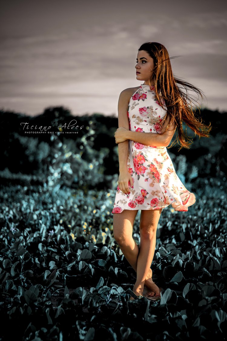 Pictures on Canon 70d