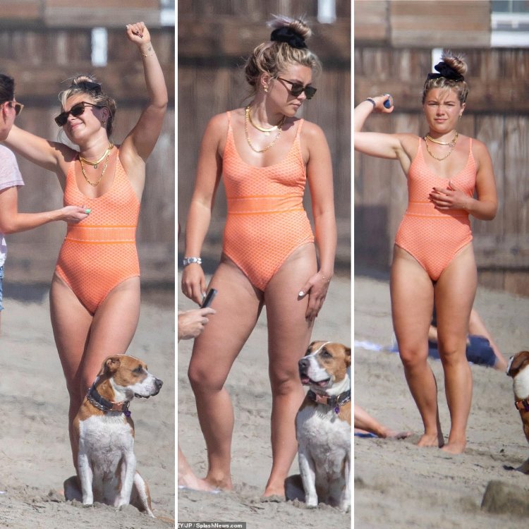 Florence Pugh Nipples