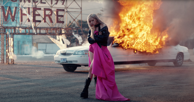 Black Pink Rose Solo On the Ground