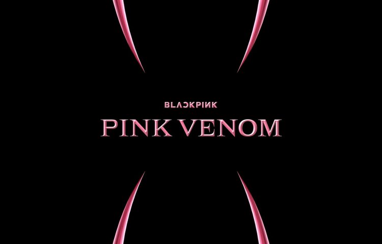 Black Pink 2022 Born Pink