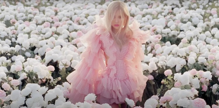 Rose Blackpink On the Ground