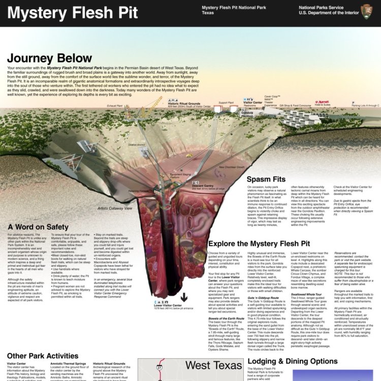 Mystery Flesh Pit, Mystery Flesh Pit