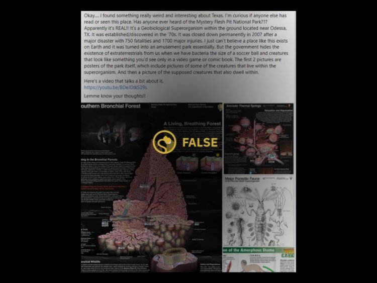 Mystery Flesh Pit National Park