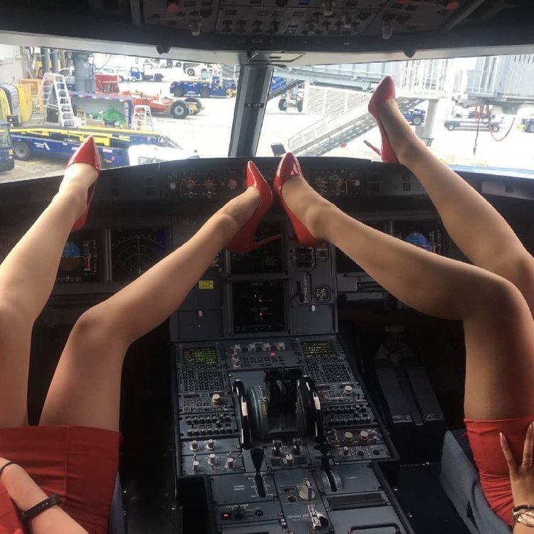 Legs on the plane