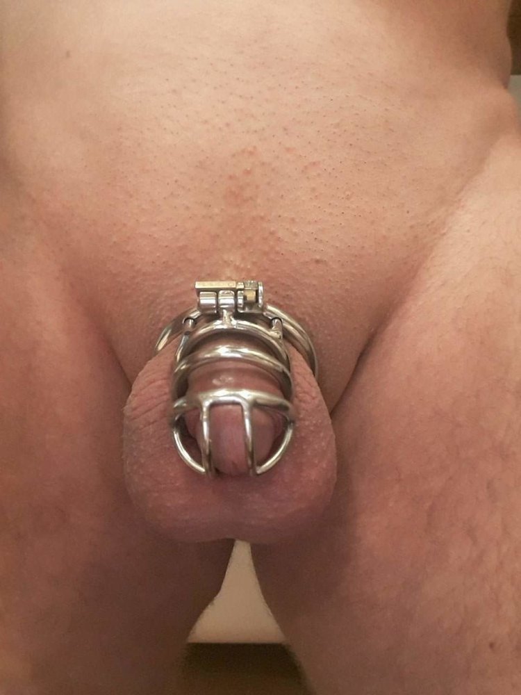 New Stainless Steel Cock Cage with Anal Plug Male Chastity