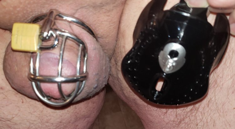 A belt of fidelity of a cobra