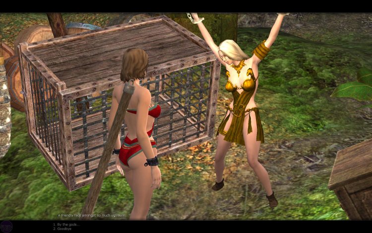 Erotic RPG with the open world
