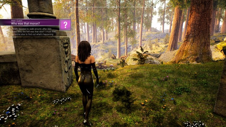 Erotic RPG with the open world