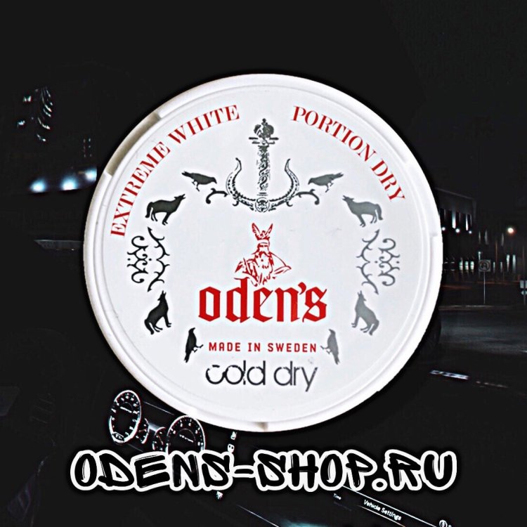 Lion Chunga (Odens, Denmark)