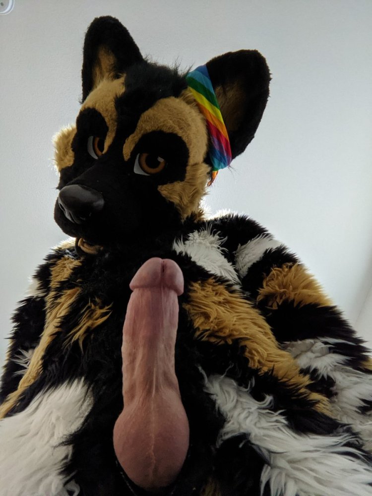 Big penis in Fursuet
