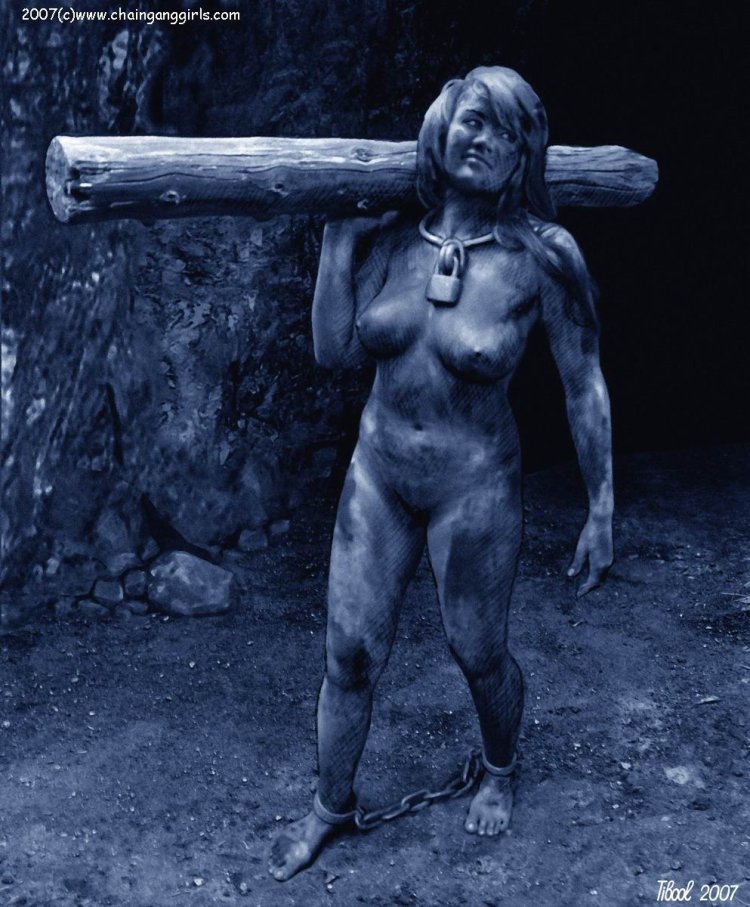 Tibool Tibools Colorfultibool 2016