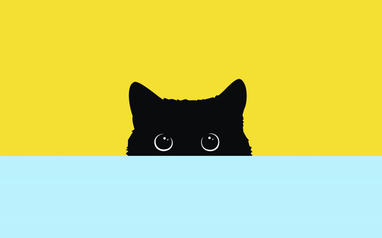 Cats minimalism