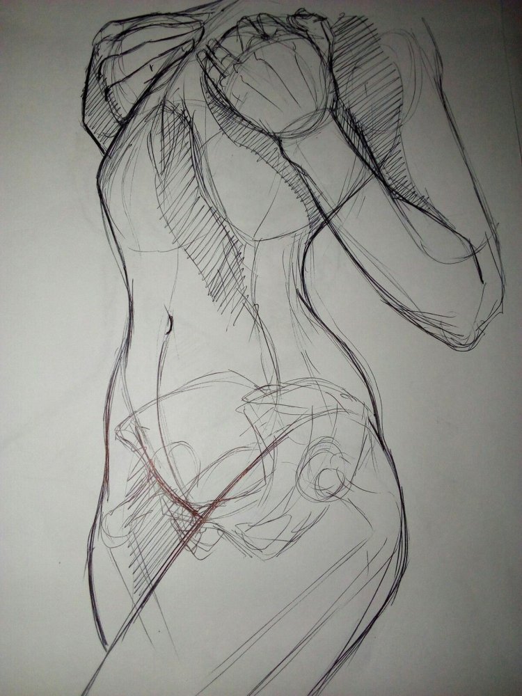 Body sketches