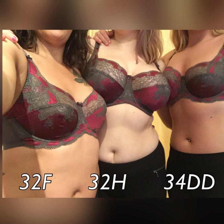 Double D Bra Sizes