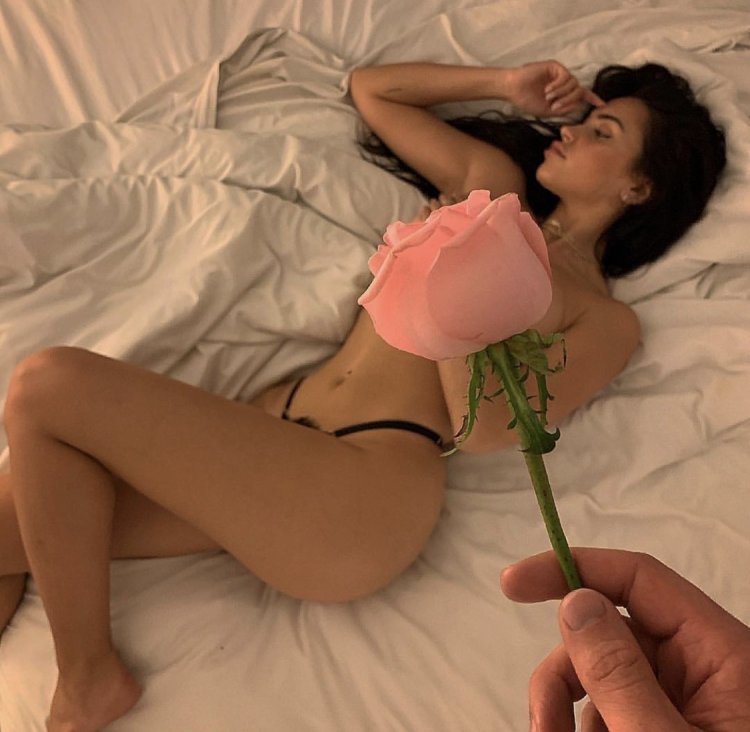 Beautiful roses to bed